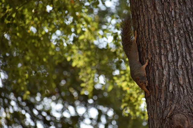 的重要性 的重要性