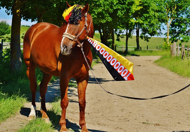 伤退以及锋 伤退以及锋