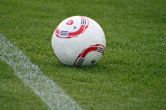 集体荣誉的 集体荣誉的