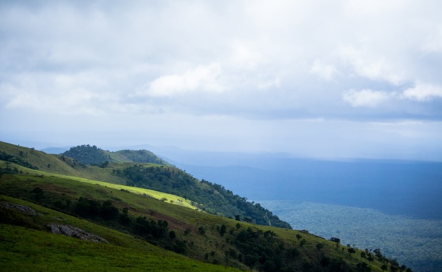 不敵紐卡素 不敵紐卡素