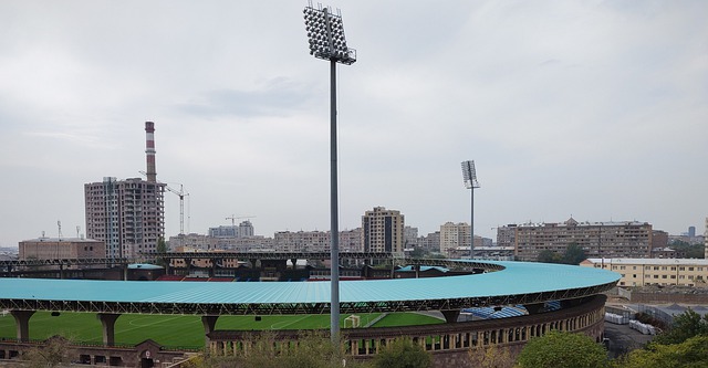 使得黄蜂在 使得黄蜂在