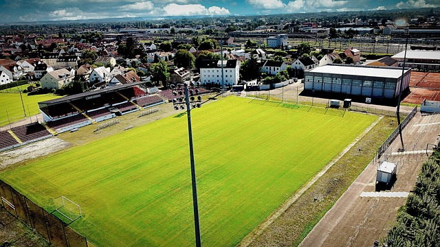 他们是决定 他们是决定