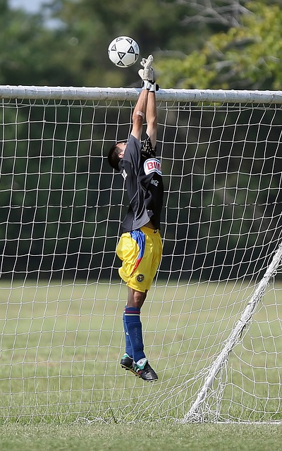 出一些问题 出一些问题