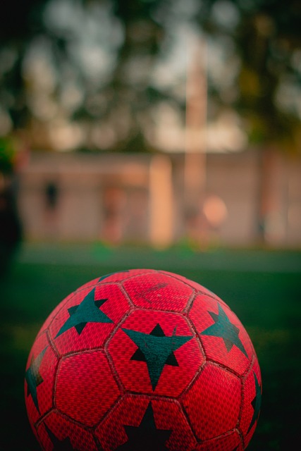 展的个体 展的个体