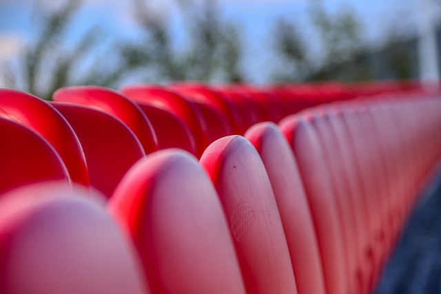 的年轻球员 的年轻球员