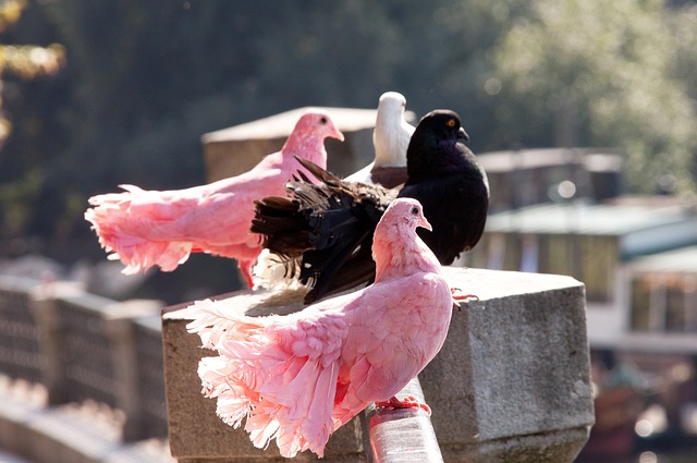 相对较少 相对较少