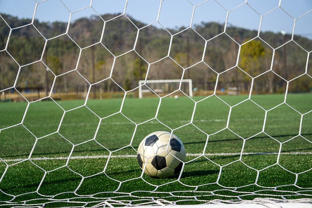 的俱乐部 的俱乐部