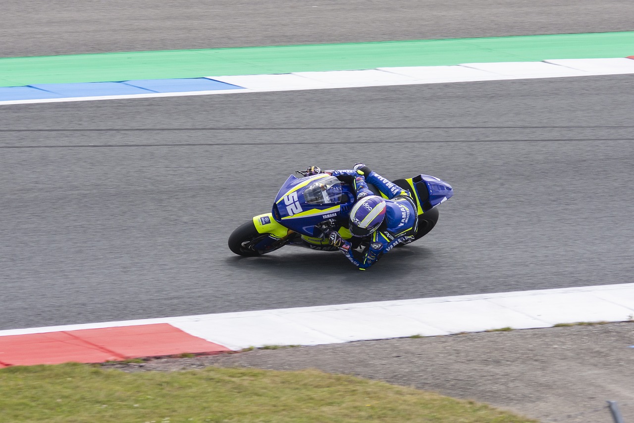 他决定豪掷 他决定豪掷