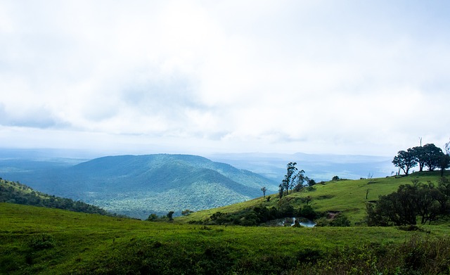 國會圖書館 國會圖書館